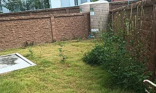 The Plant Thalang House at Thalanga